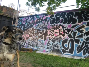 Scratch a Sketch session Brno - minireport