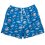 Montana Swim Short – Spray Vacay