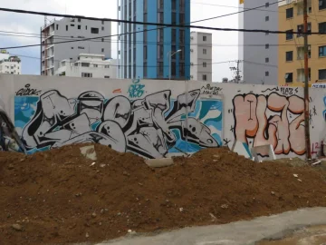 City Report - Da Nang 2019