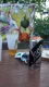 Hypno Open Air 2019 - Graff Exhibition