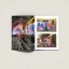 The Grifters Publishing: Freedom Is Not Photobook